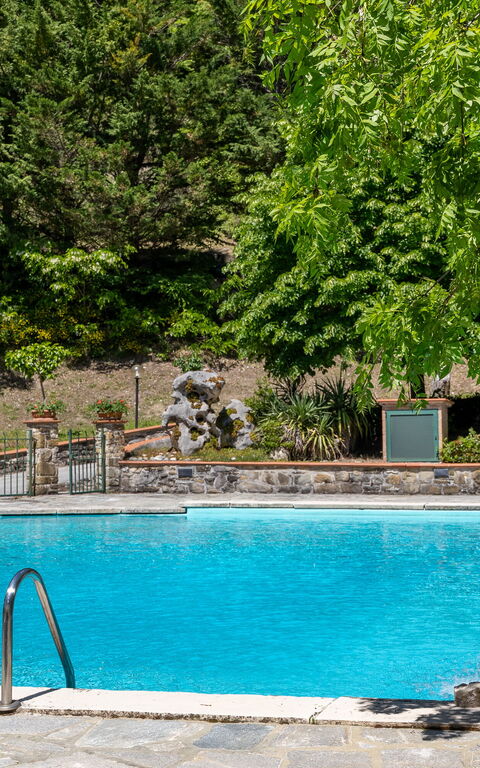 Villa Contessa: pool, Udendørs