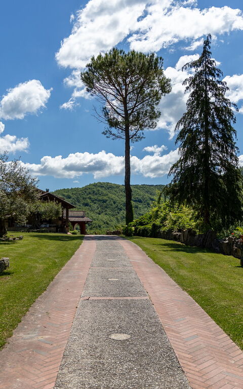 Villa Contessa: Have, Udendørs, Visninger
