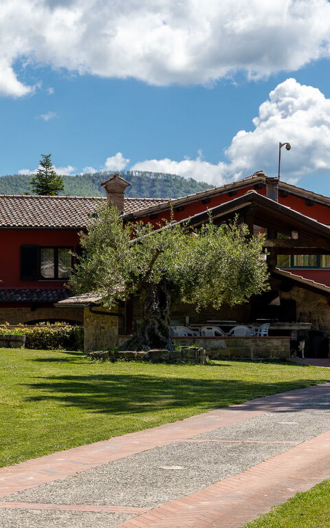 Villa Contessa: Have, Udendørs, Udvendige