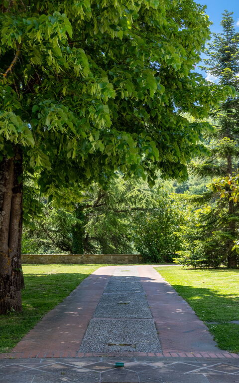 Villa Contessa: Have, Udendørs