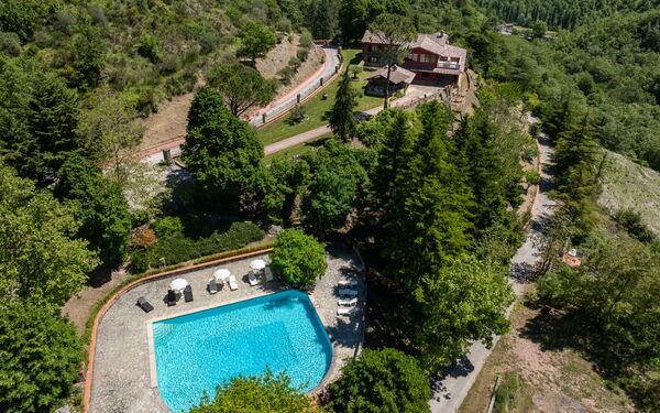 Villa Contessa: pool