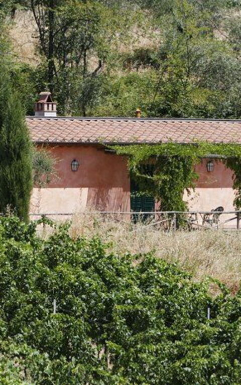 La Selva: Have, Udendørs