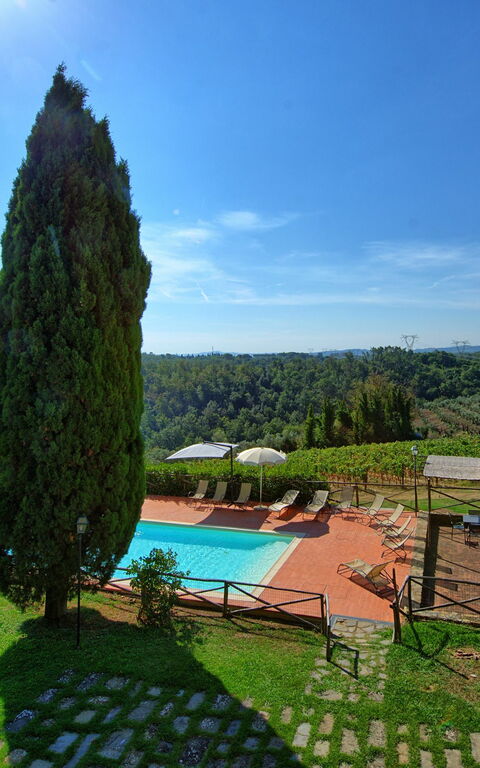 Il Frantoio: Visninger