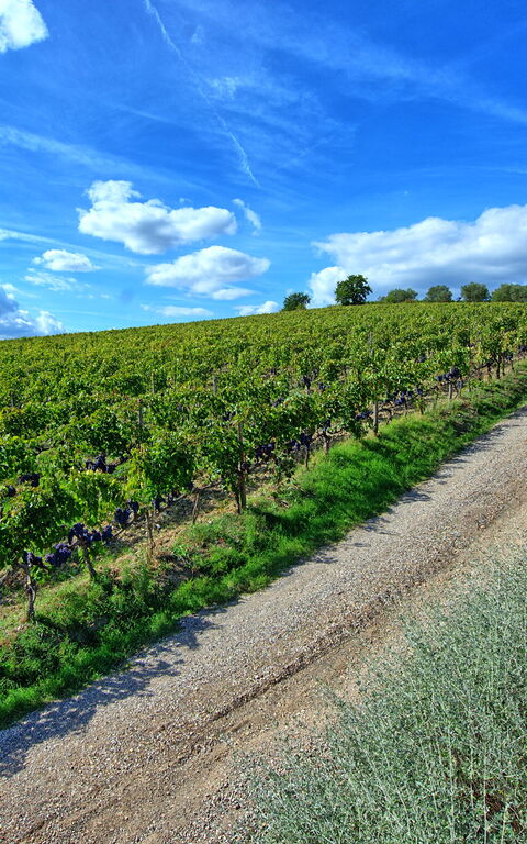 Brunello: Udendørs, Visninger