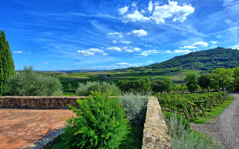 Brunello: Have, Visninger
