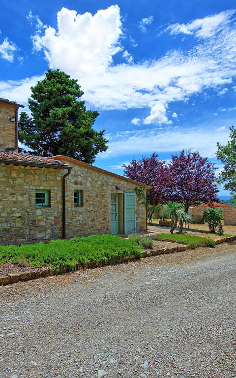 San Donato: Have, Udendørs