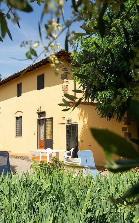 Le Vasche: Have, Udendørs