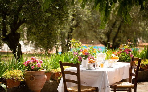 Feriebolig Vasche 3: Have