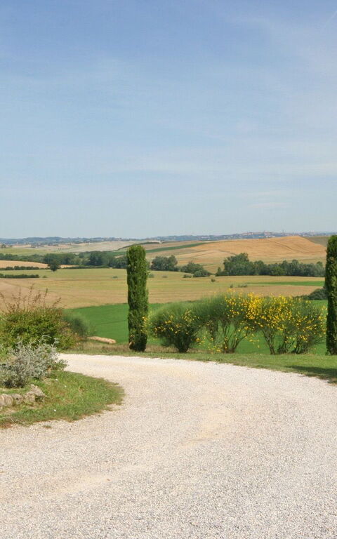 San Donnino: Visninger