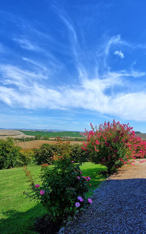 San Donnino: Have, Udendørs