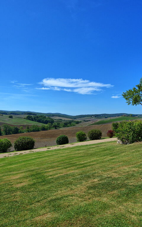 San Donnino: Have, Udendørs