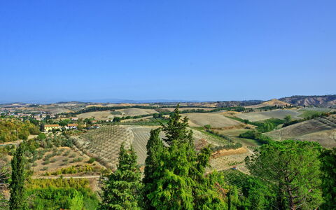 Feriebolig Certaldo 2: Visninger