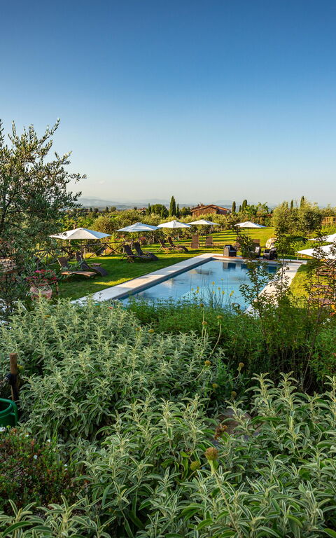 Villa Amadeo: Have, pool, Udendørs, Udvendige, Visninger