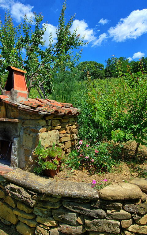 Villa Lo Scoiattolo: Have, Udendørs