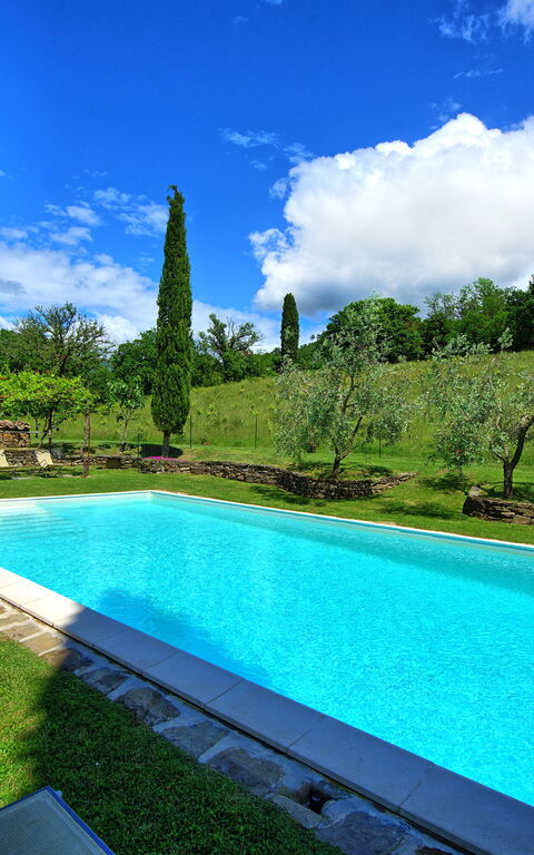 Villa Lo Scoiattolo: Have, pool, Udendørs