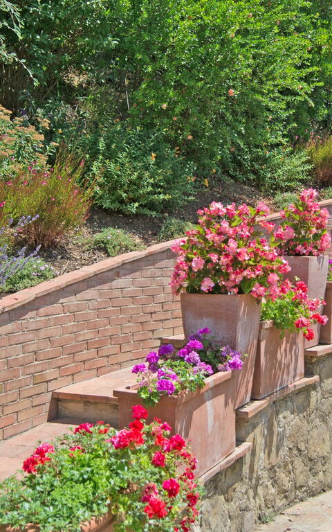 Casa Lucia: Udendørs