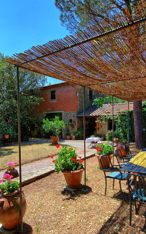 Villa Elisa: Have