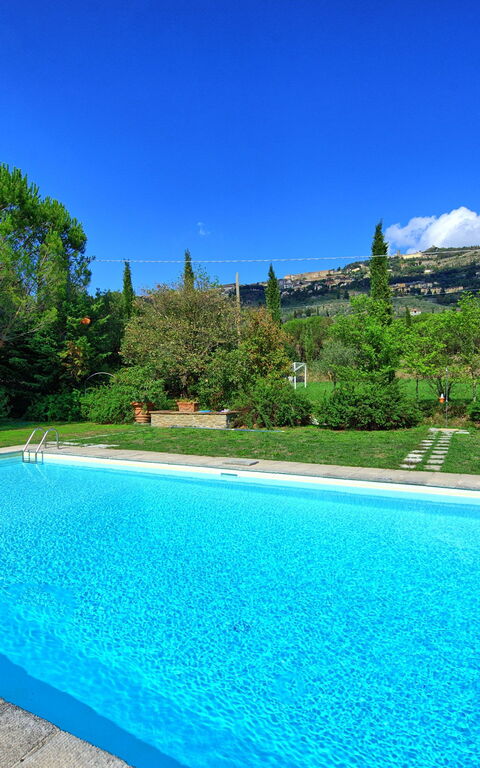 Villa Elisa: pool