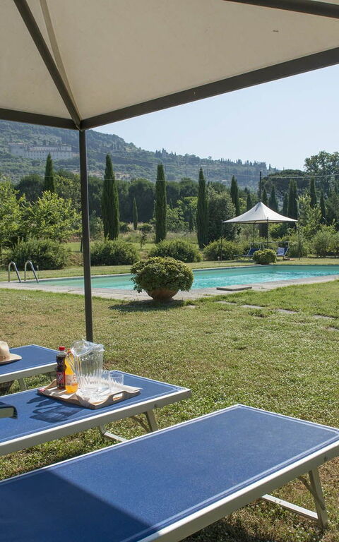 Villa Elisa: Have