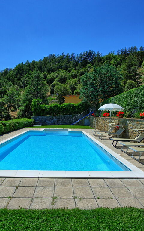 Il Salice: pool