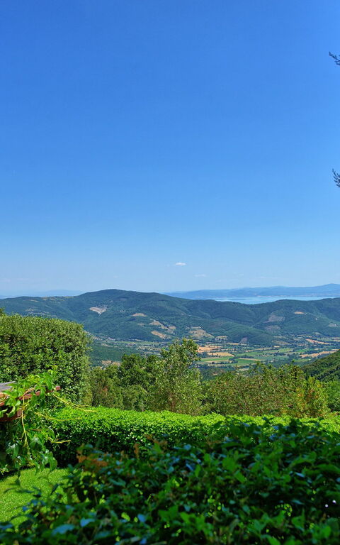 Il Salice: Visninger