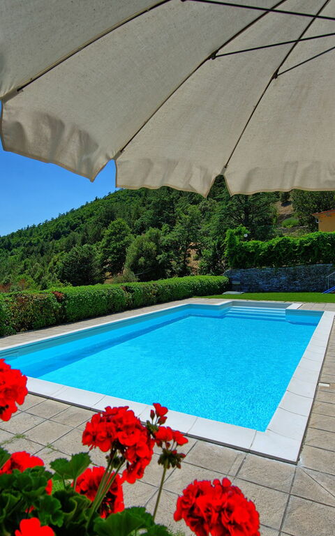 Il Salice: pool
