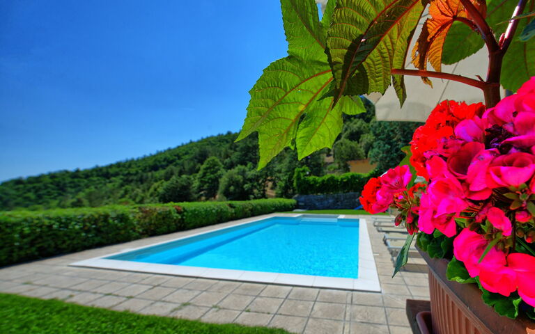 Il Salice: pool