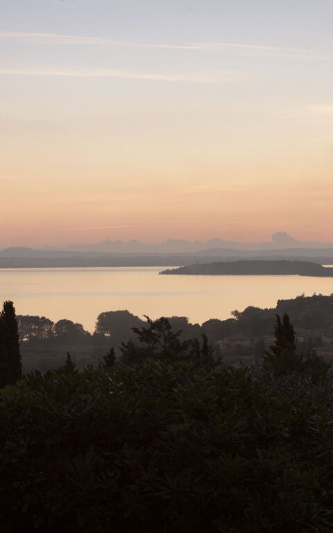 Villa Le Murate: Have, Visninger