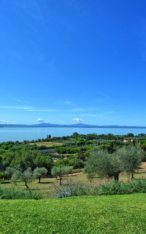 Villa Le Murate: Have, Visninger