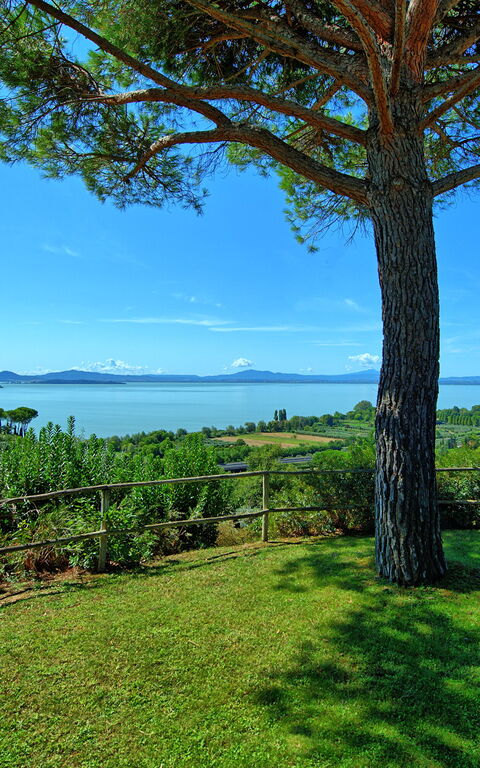 Villa Le Murate: Have, Visninger