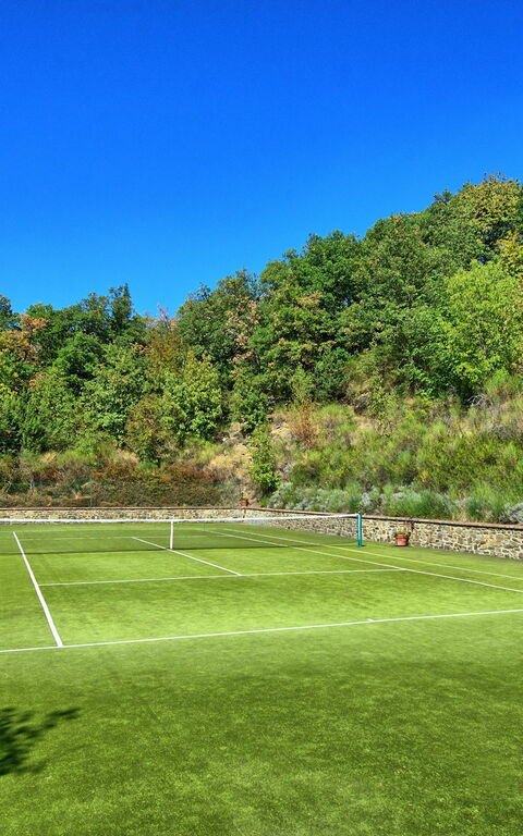 Gellino: Aktiviteter