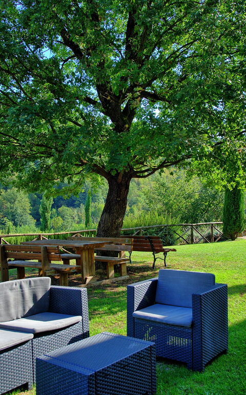 Villa Casentino: pool