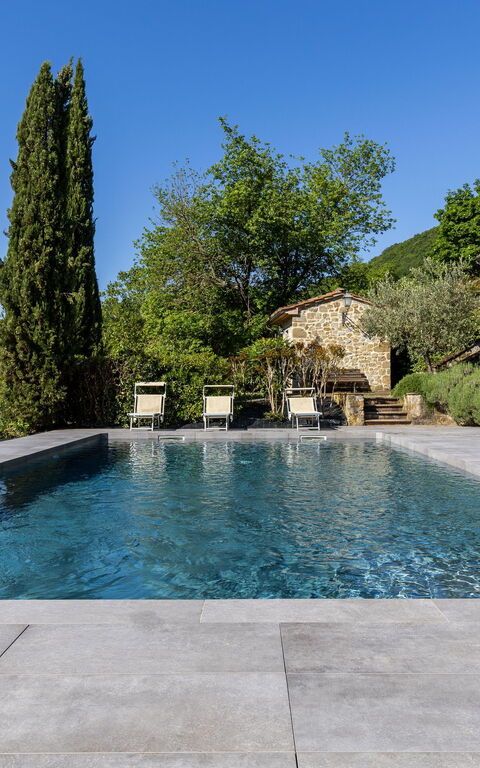 Villa Casentino: pool