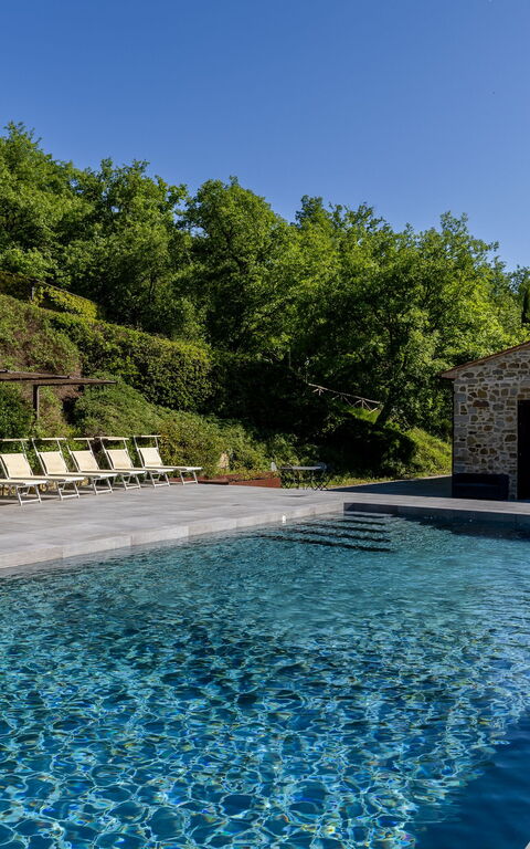 Villa Casentino: pool
