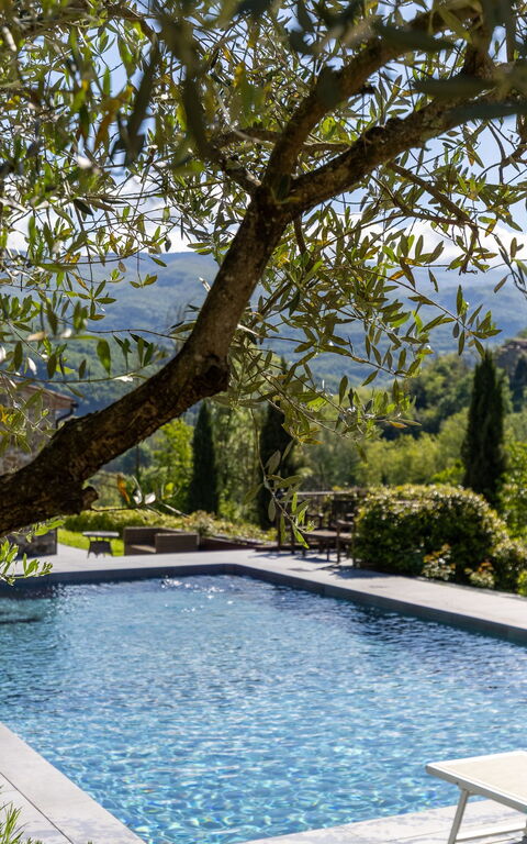 Villa Casentino: pool