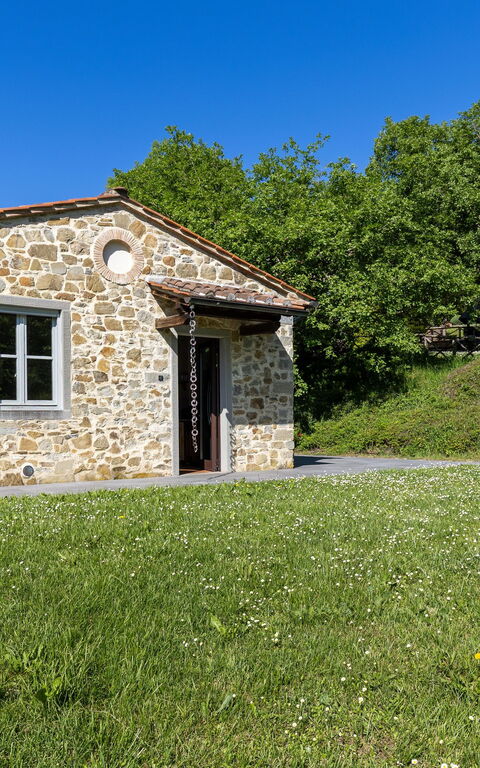 Villa Casentino: pool