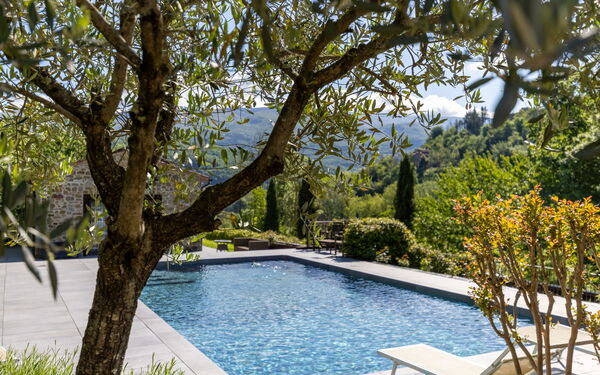 Villa Casentino: pool