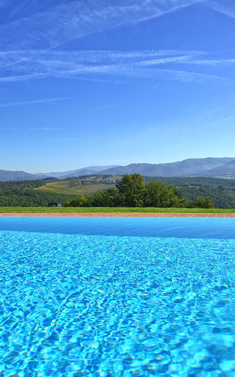 Tenuta: pool, Visninger