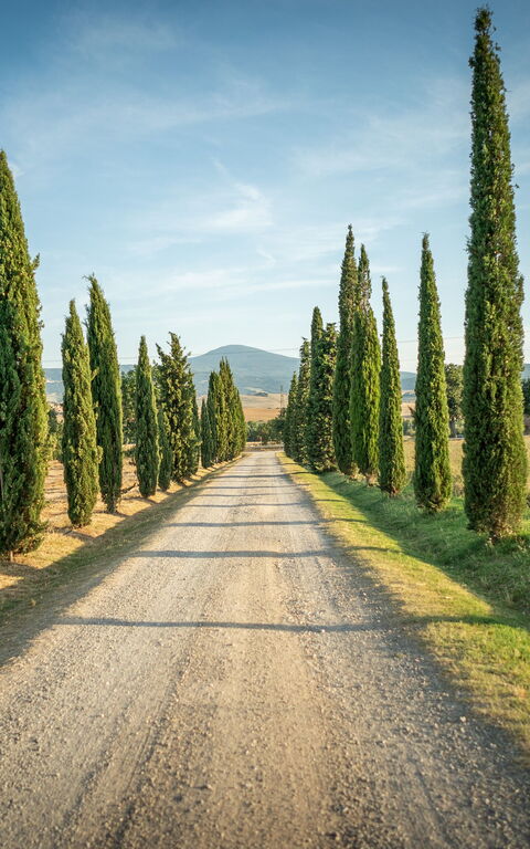 Villa Cassia: Udendørs, Visninger
