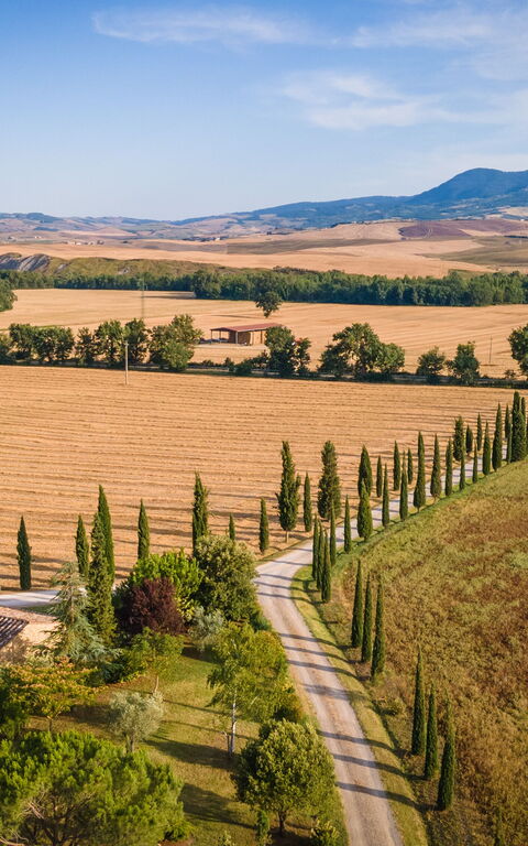 Villa Cassia: Visninger