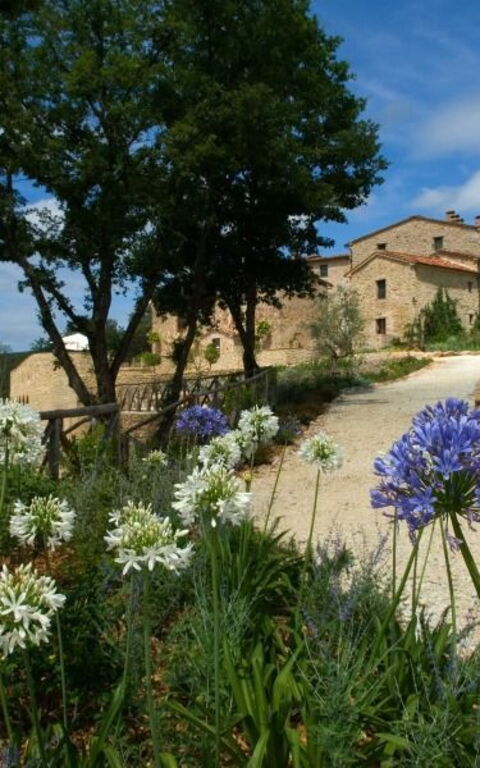 Villa Vittorio: Have, Visninger