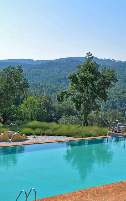 Villa Vittorio: pool