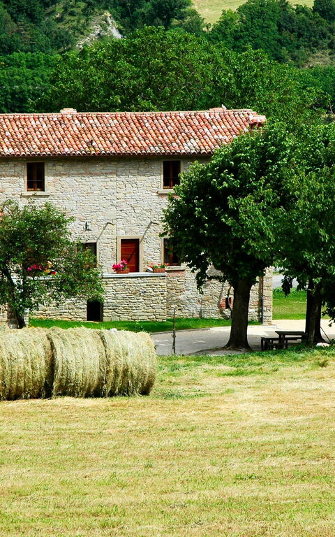 Marradi: Udendørs, Visninger