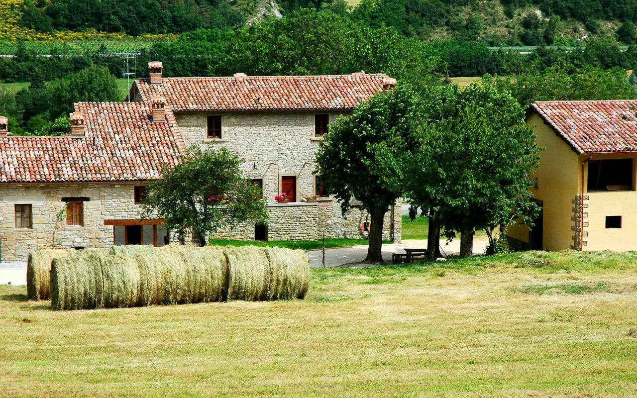 Marradi: Udendørs, Visninger