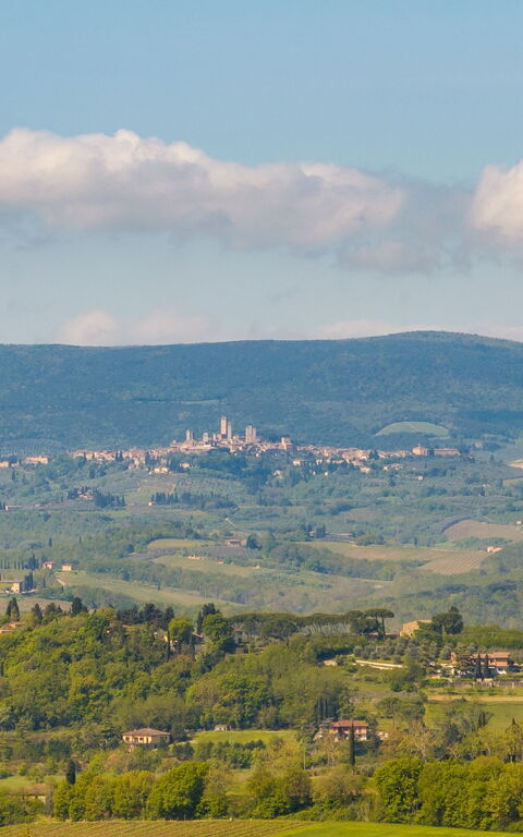 Villa Ferdinando: Udendørs