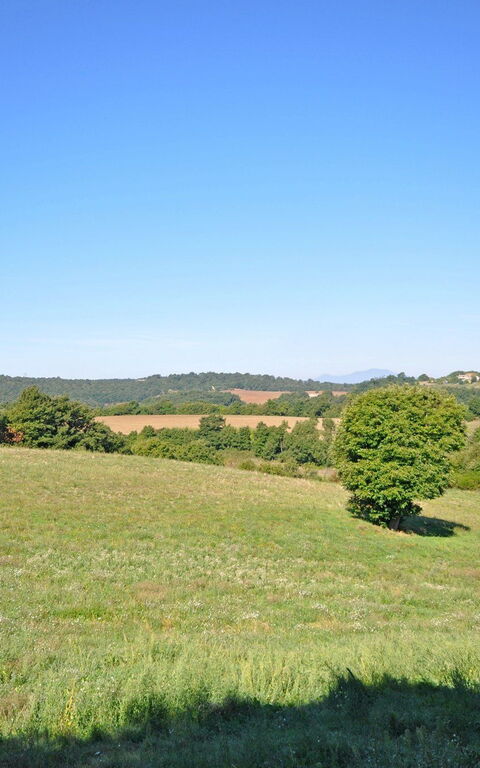 Ginestrella: Udendørs, Visninger