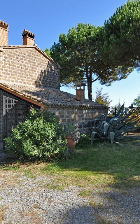 Ginestrella: Have, Udvendige