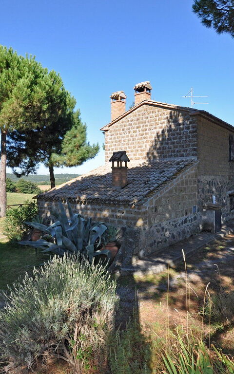 Ginestrella: Have, Udvendige