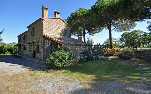 Ginestrella: Have, Udvendige