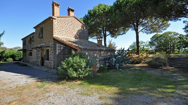 Ginestrella: Have, Udvendige